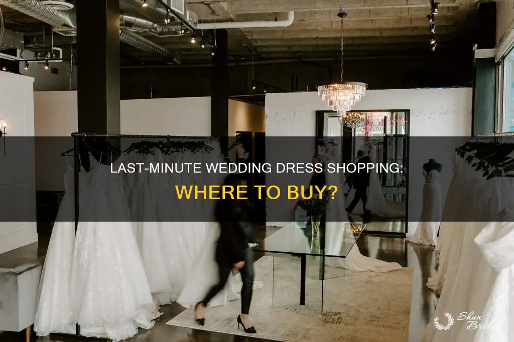 where can I buy a wedding dress last minute