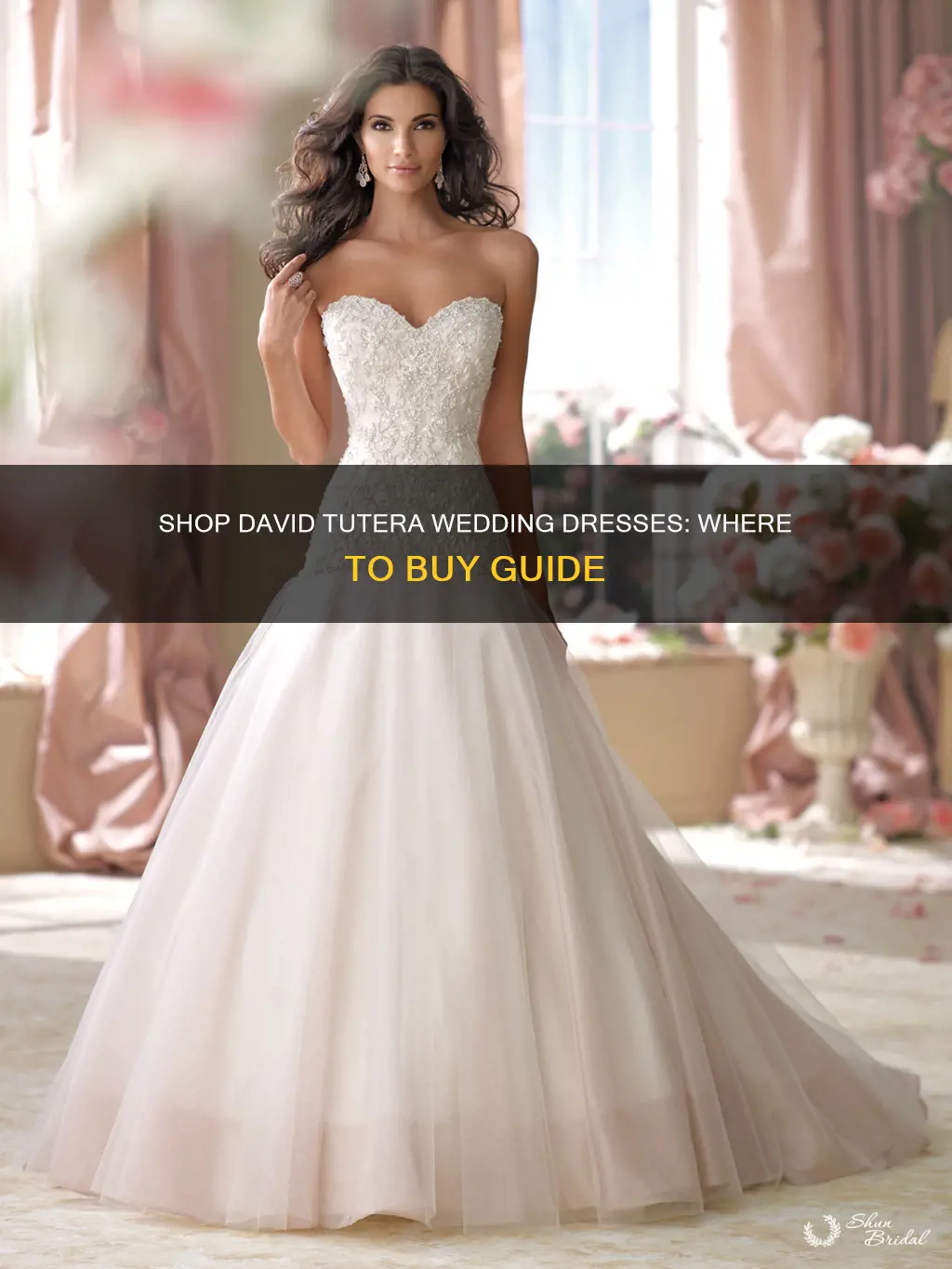 where can I buy david tutera wedding dresses
