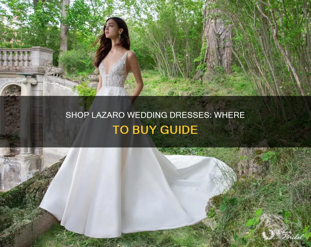 where can I buy lazaro wedding dresses