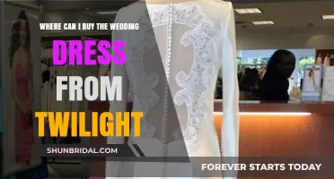 Twilight Wedding Dress: Where to Buy Bella's Gown