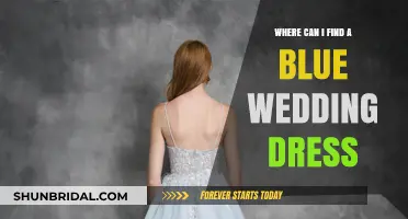 Unveiling Unique Blue Wedding Dresses: Finding Your Dream Gown