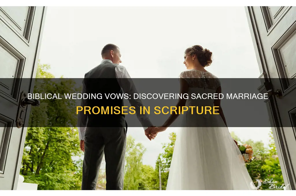 where can i find the wedding vows in the bible
