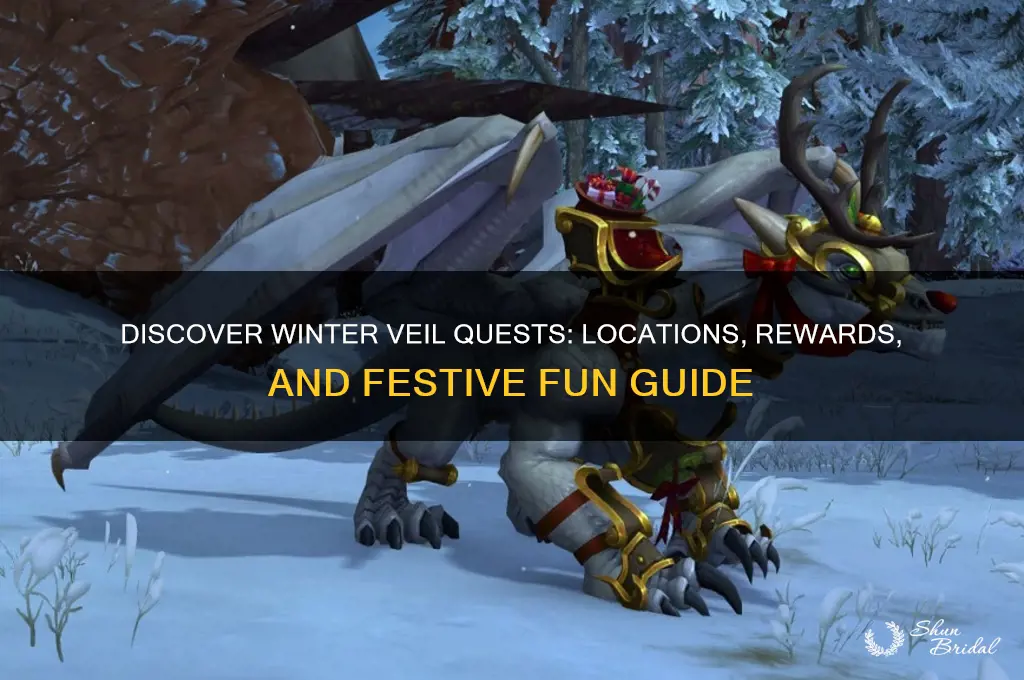 where can i find winters veil quests