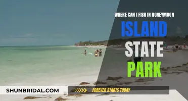Honeymoon Island State Park: Best Fishing Spots