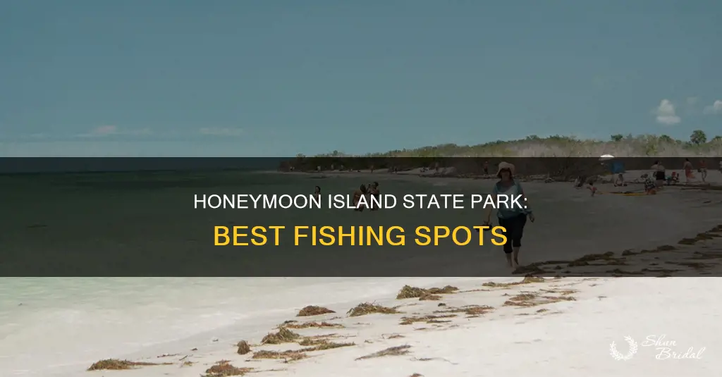 where can I fish in honeymoon island state park