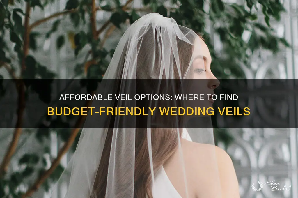 where can i get a cheap veil