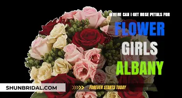 Where to Find Rose Petals for Flower Girls in Albany