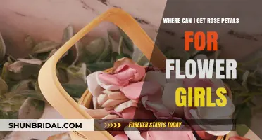 Where to Find Rose Petals for Flower Girls: A Complete Guide
