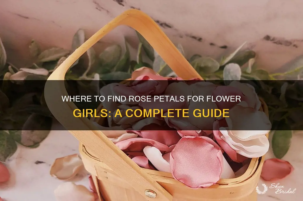 where can i get rose petals for flower girls