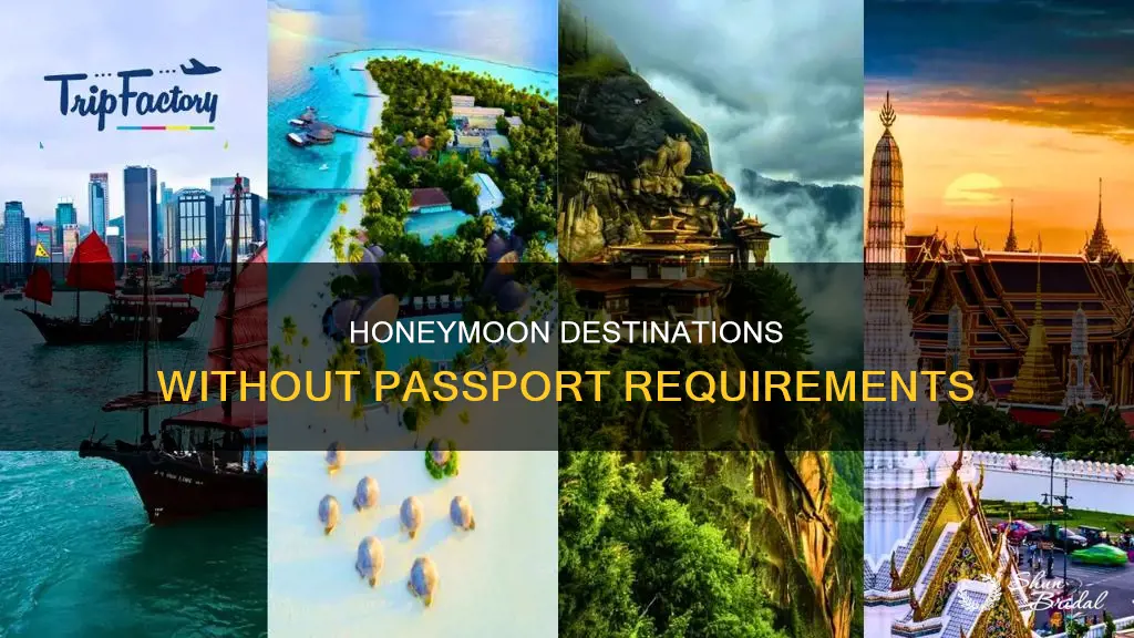 where can I go on my honeymoon without a passport