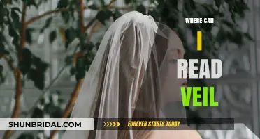 Where to Read Veil: Top Platforms and Resources for Fans
