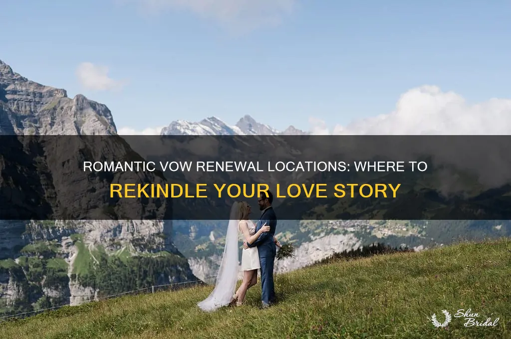 where can i renew my vows