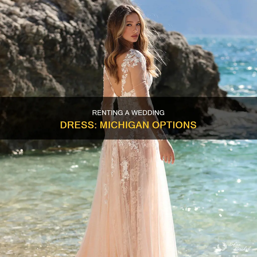 where can I rent a wedding dress in Michigan
