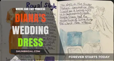 Diana's Wedding Dress: Where to See It in Person