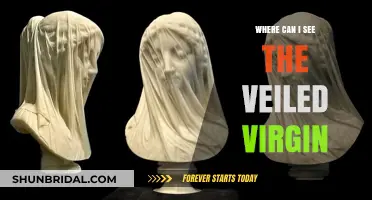 Discover the Veiled Virgin: Locations to Witness This Marble Masterpiece