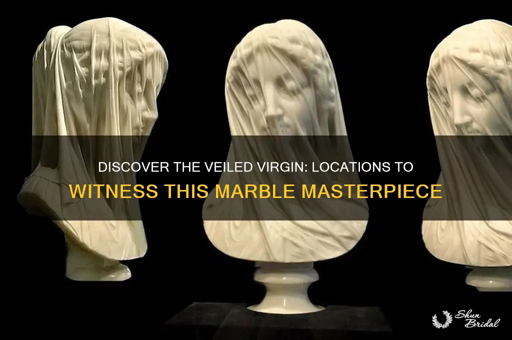 where can i see the veiled virgin