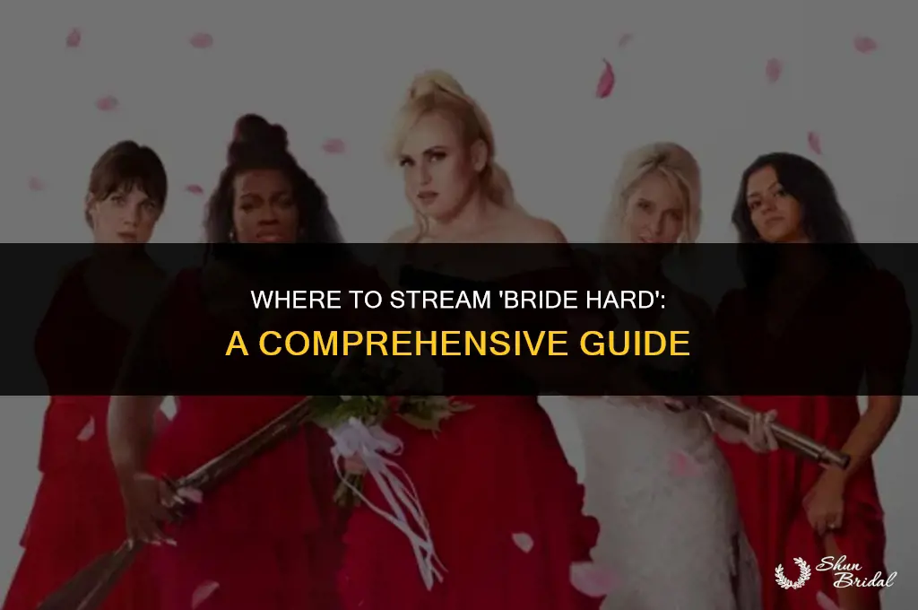 where can i stream bride hard
