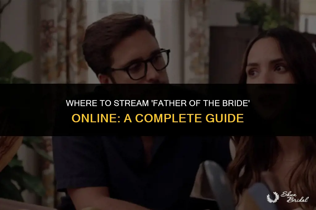 where can i stream father of the bride