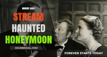 Stream Haunted Honeymoon: Top Platforms to Watch the Classic Comedy
