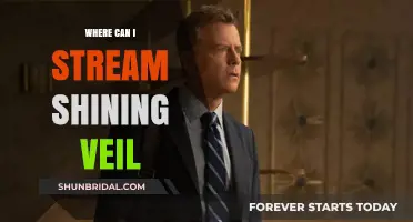 Where to Stream Shining Veil: Top Platforms for Watching