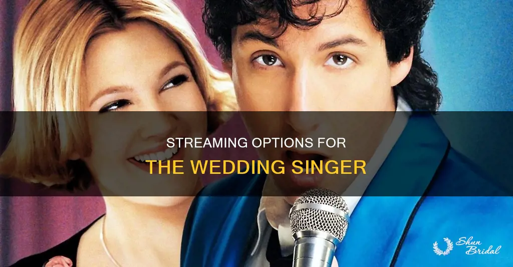 where can I stream the wedding singer