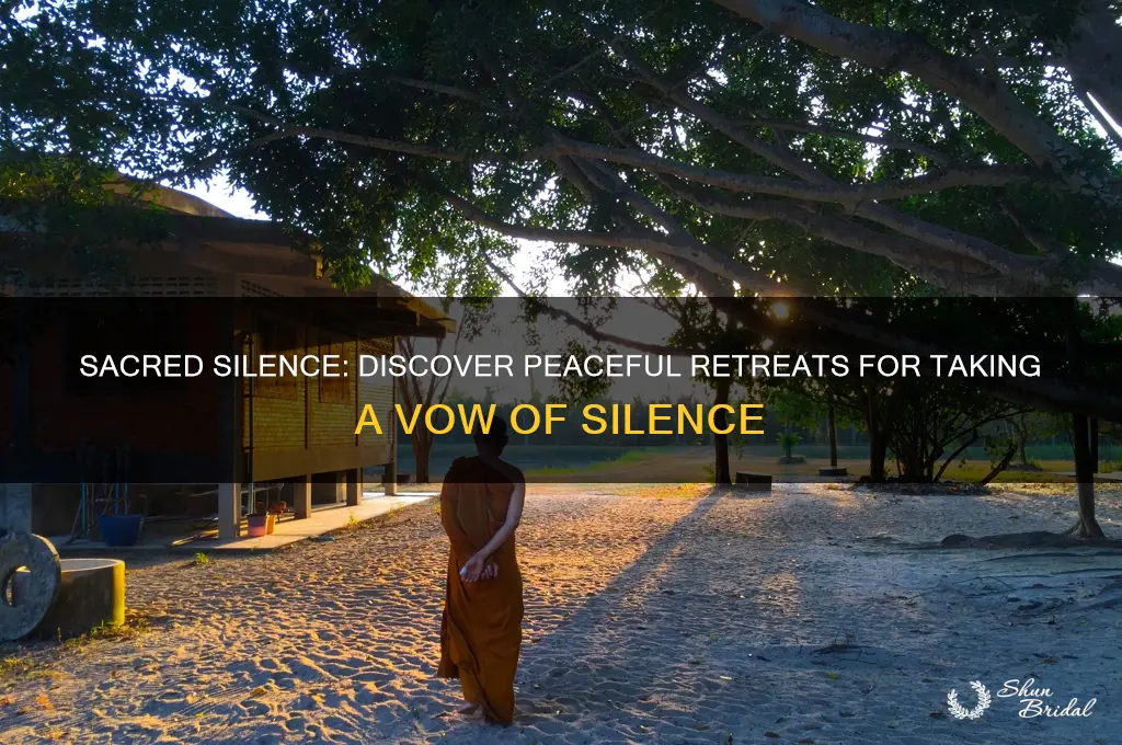 where can i take a vow of silence