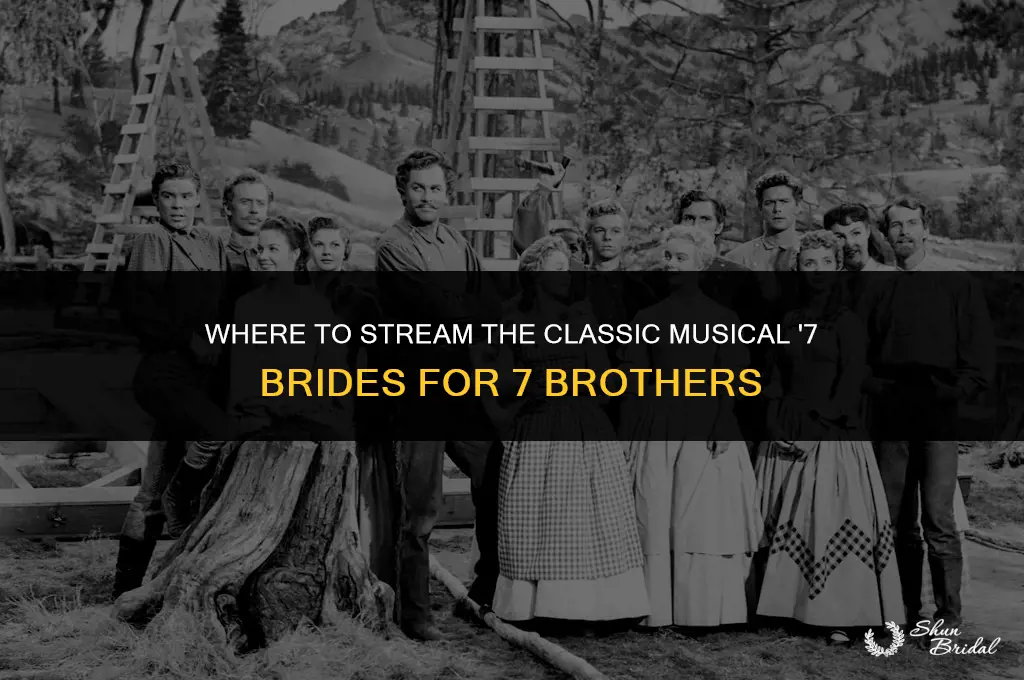 where can i watch 7 brides for 7 brothers