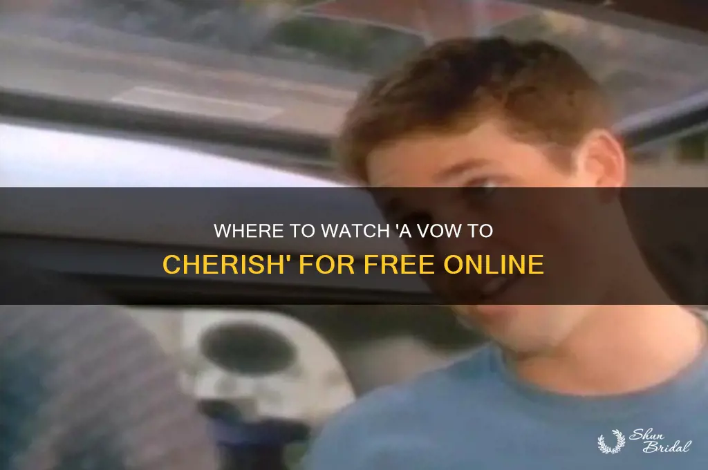 where can i watch a vow to cherish for free