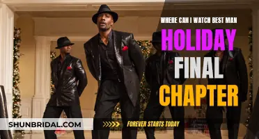 Best Streaming Platforms for Best Man Holiday Final Chapter