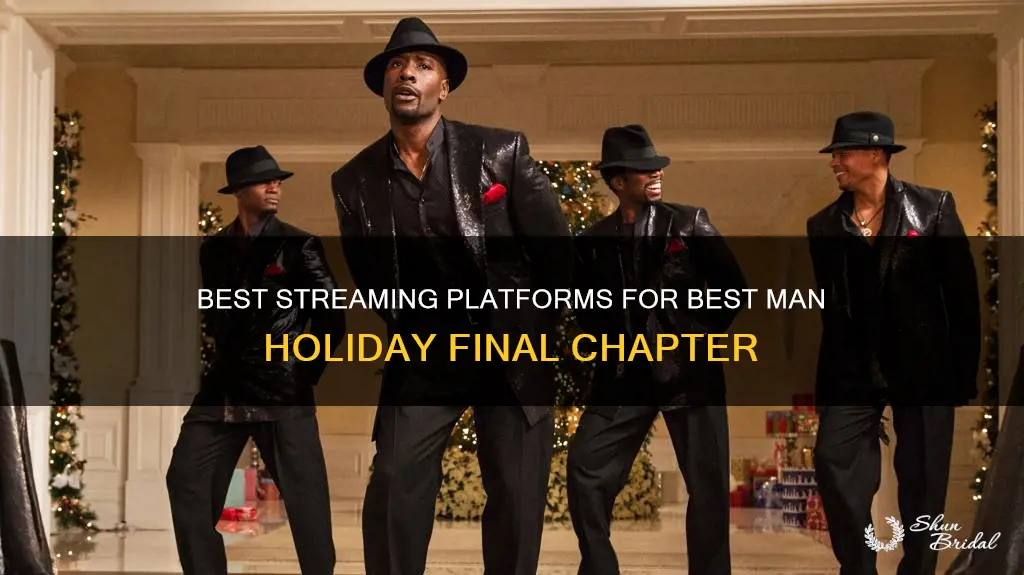 where can I watch best man holiday final chapter