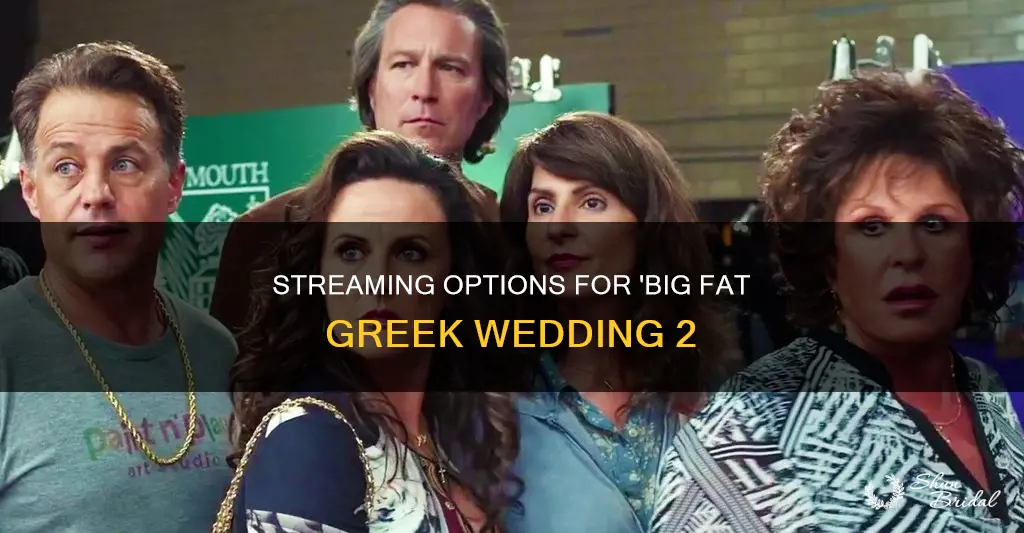 where can I watch big fat greek wedding 2