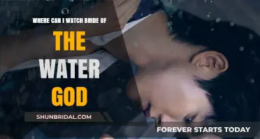 Where to Stream 'Bride of the Water God': A Comprehensive Guide