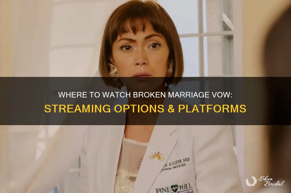 where can i watch broken marriage vow