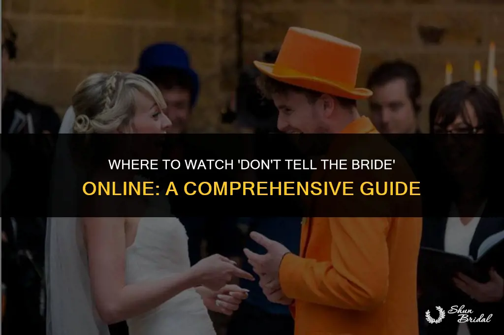 where can i watch don