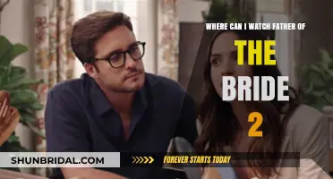 Streaming Options for Father of the Bride 2: A Complete Guide