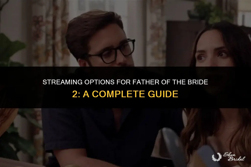 where can i watch father of the bride 2