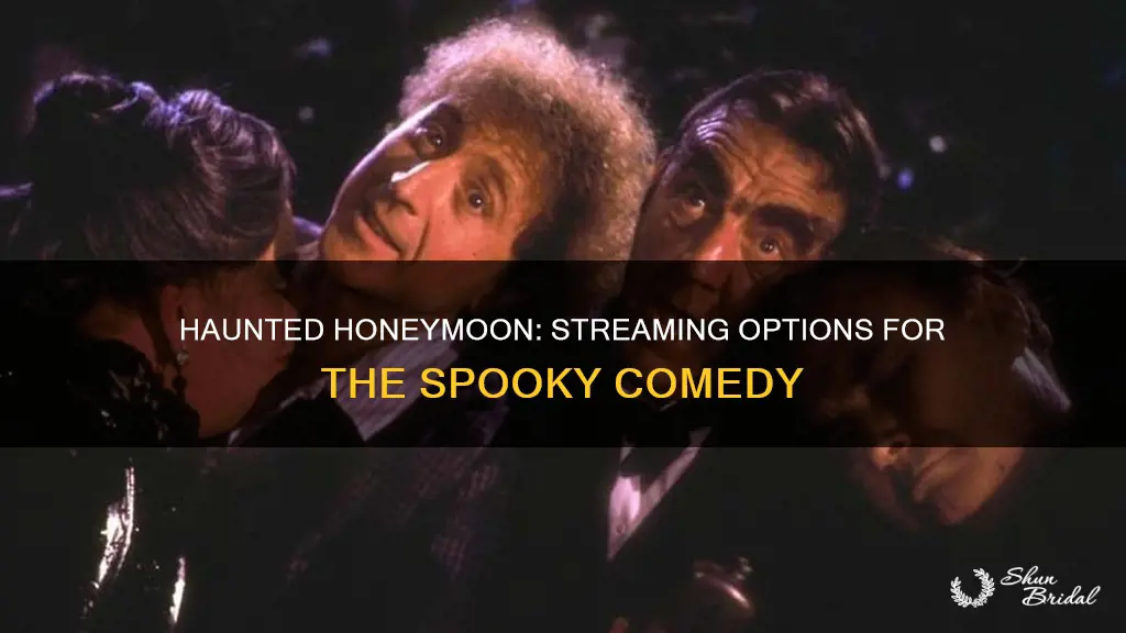 where can I watch haunted honeymoon