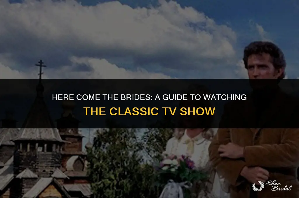 where can i watch here come the brides