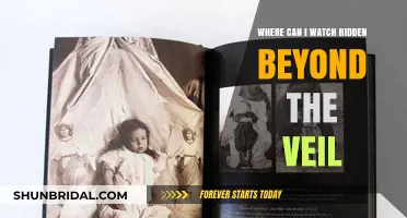 Where to Watch Hidden Beyond the Veil: Streaming Guide