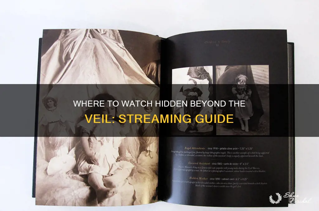 where can i watch hidden beyond the veil