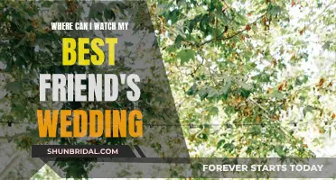 Streaming Options for 'My Best Friend's Wedding