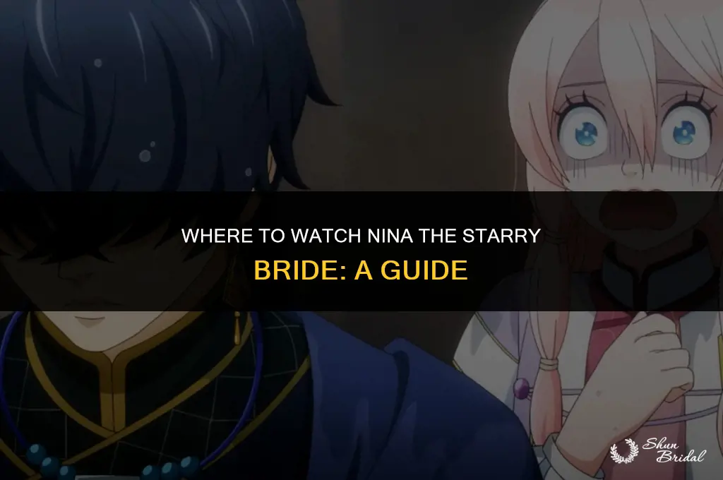 where can i watch nina the starry bride