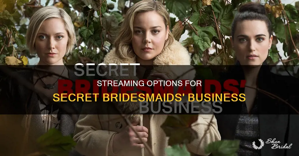 where can I watch secret bridesmaids business