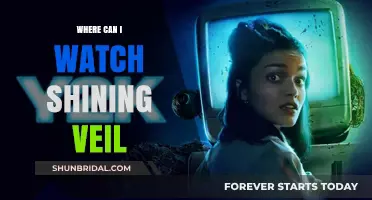 Where to Stream Shining Veil: Top Platforms to Watch Now
