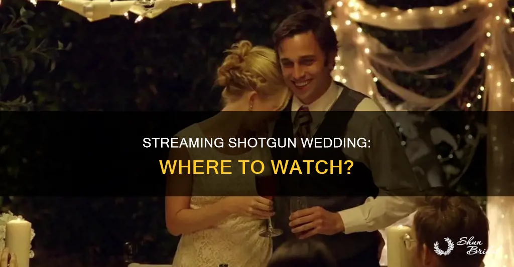 where can I watch shotgun wedding