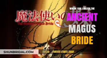 Where to Watch The Ancient Magus Bride: A Comprehensive Guide