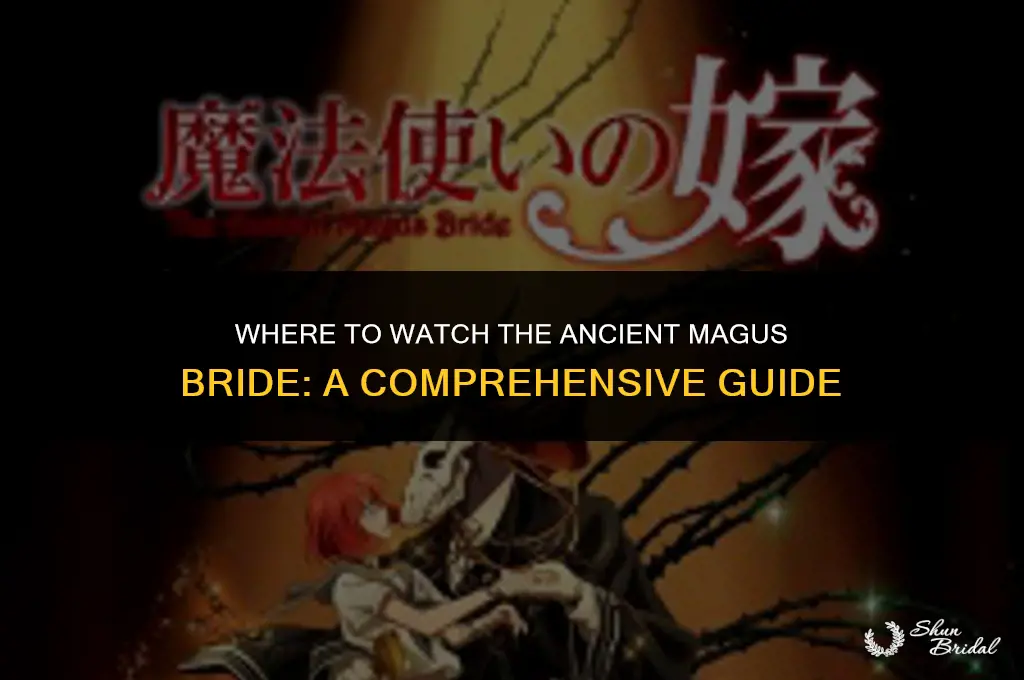 where can i watch the ancient magus bride