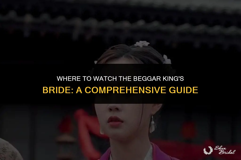 where can i watch the beggar king