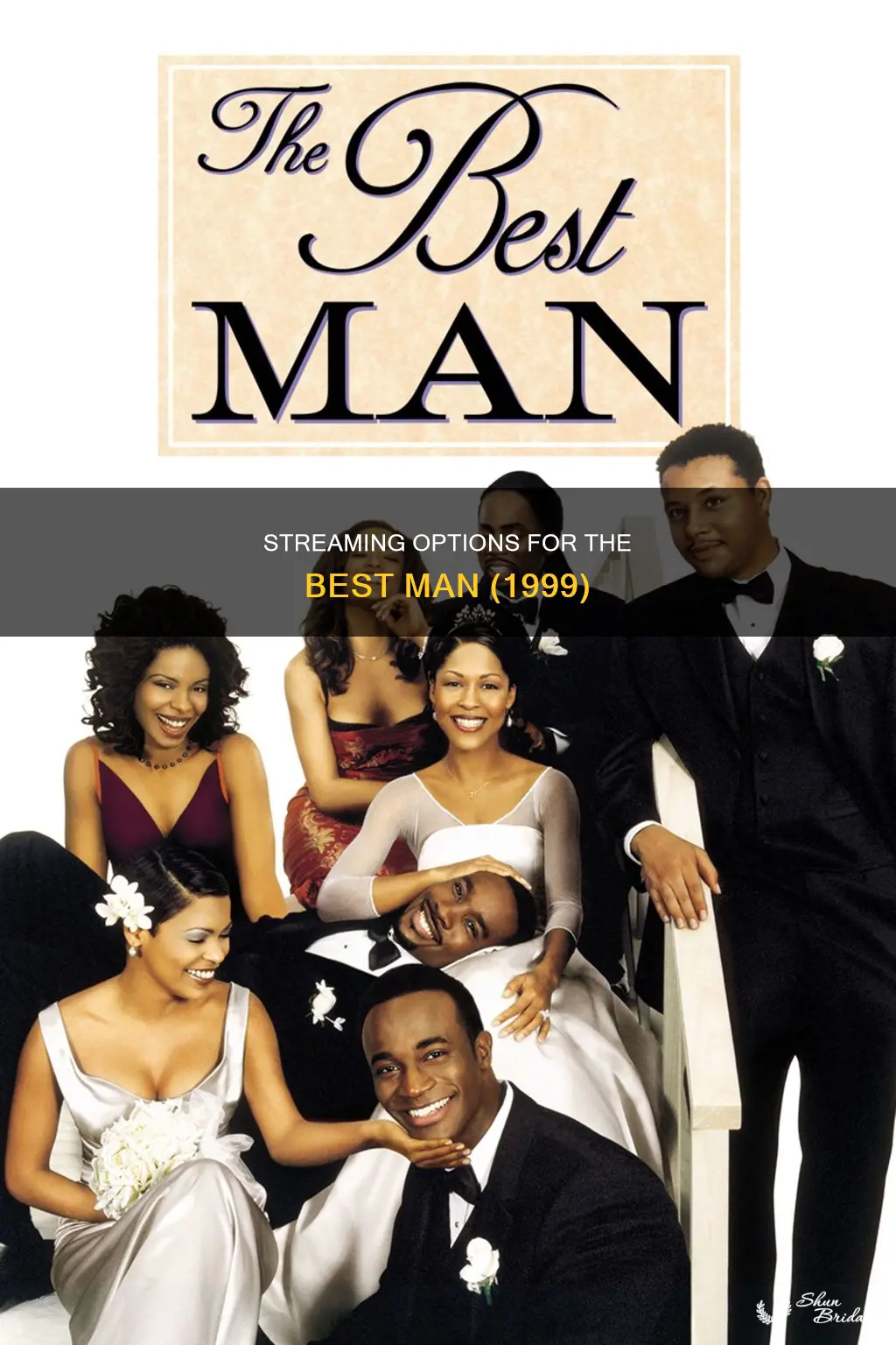 where can I watch the best man 1999