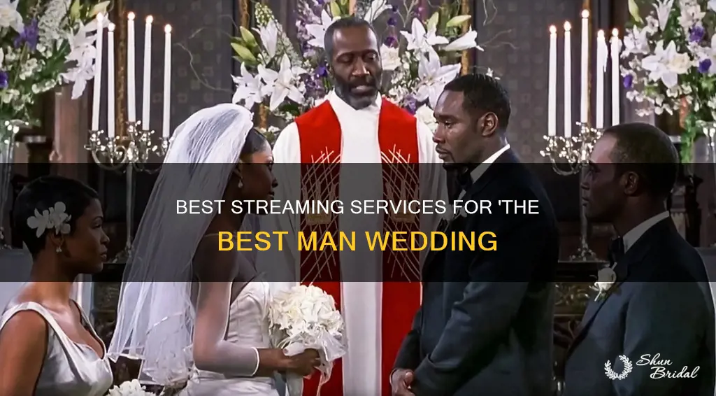 where can I watch the best man wedding